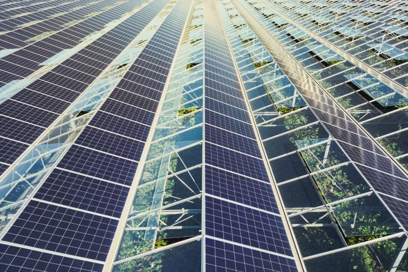 Energy Efficiency in Greenhouse Operations: Strategies and Solutions Energy Efficiency in Greenhouse Operations: Strategies and Solutions